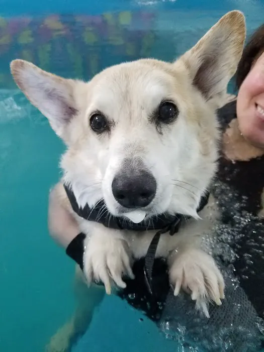 K9 Aquatics Picture 10