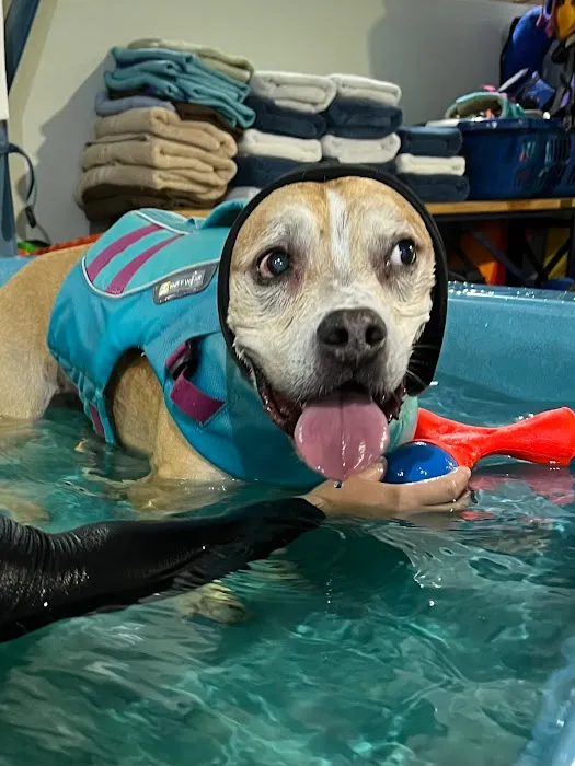 K9 Aquatics Picture 5