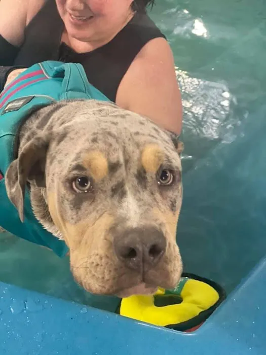 K9 Aquatics Picture 7