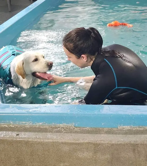 K9 Aquatics Picture 4