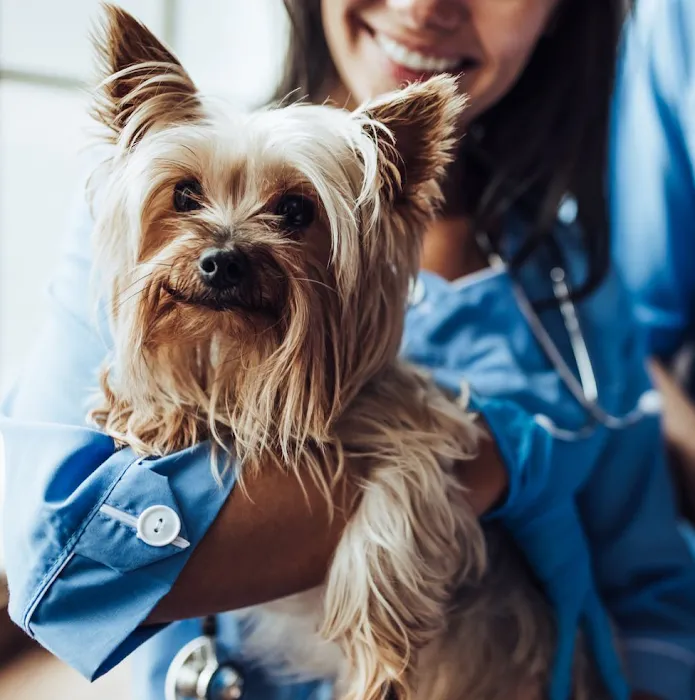 Midland Park Veterinary Hospital Picture 9