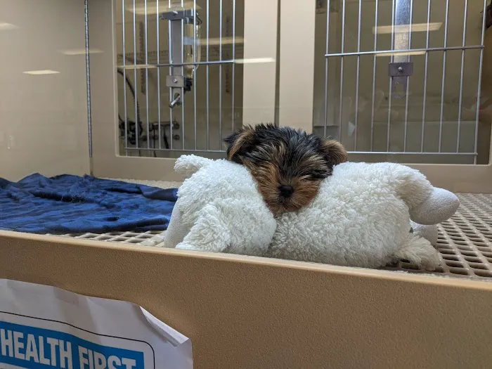 Petland Henderson Picture 4