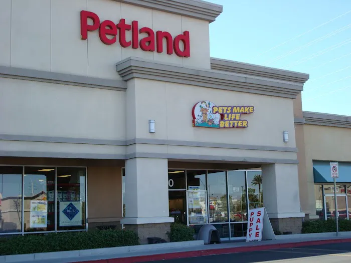 Petland Henderson Picture 2
