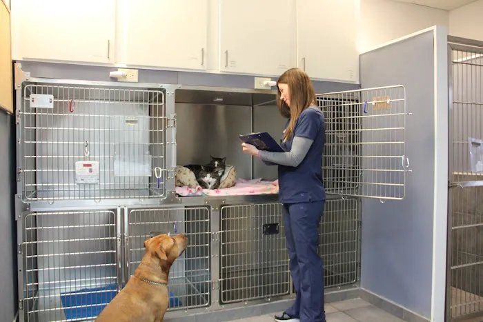 Allendale Veterinary Hospital Picture 6
