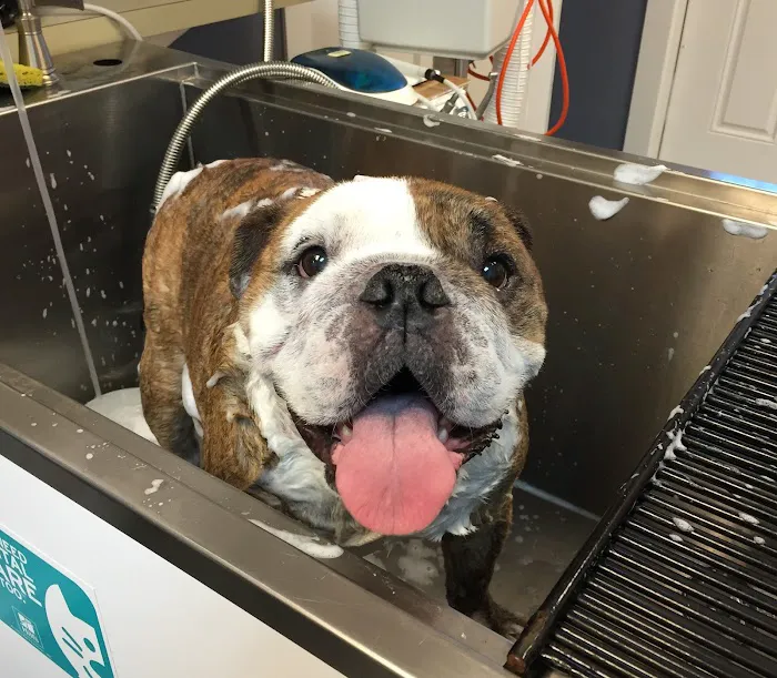 Allendale Veterinary Hospital Picture 1