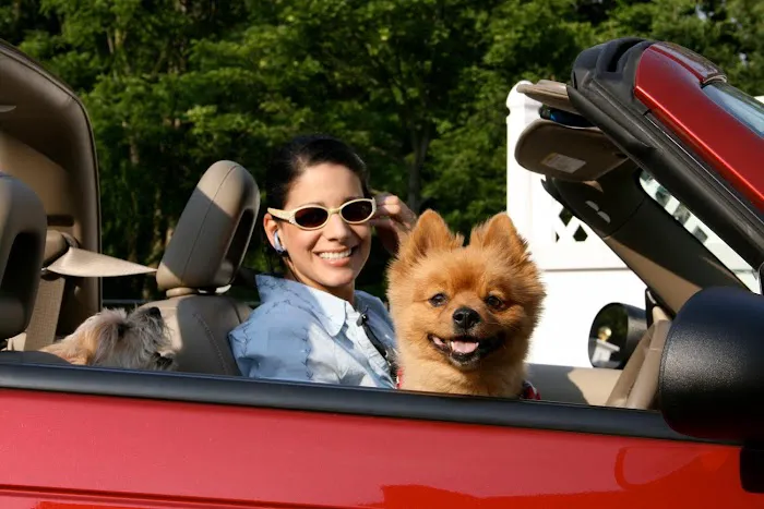 Allendale Veterinary Hospital Picture 5