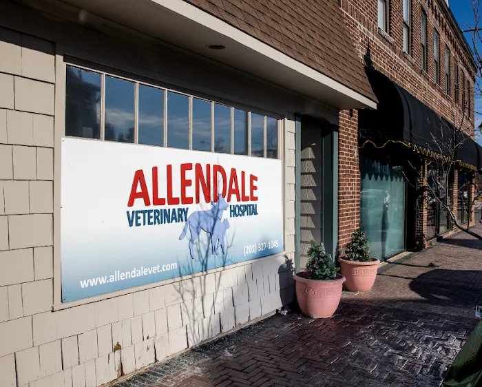 Allendale Veterinary Hospital Picture 9