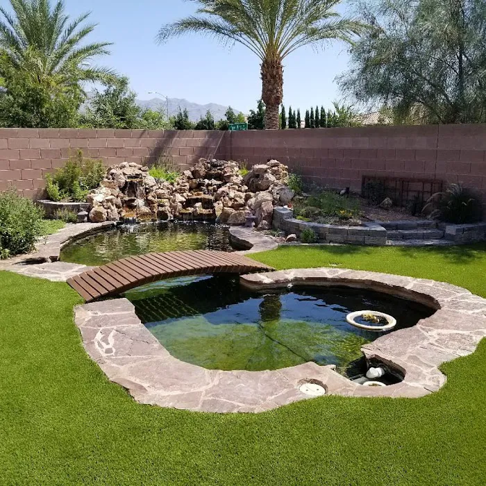 Advanced Aquascapes Picture 1