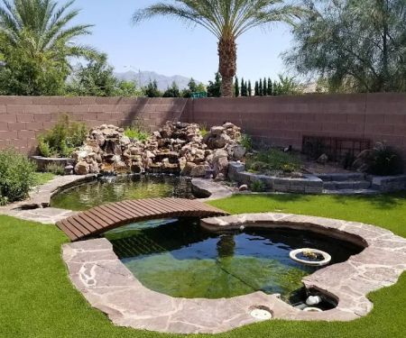 Advanced Aquascapes
