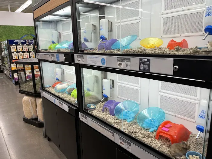 Petco Picture 3