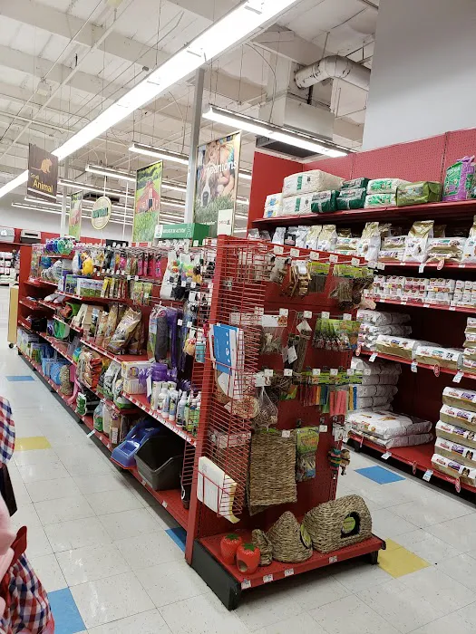 Petco Picture 1