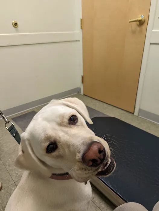 Veterinary Wellness Center of Glen Rock Picture 5