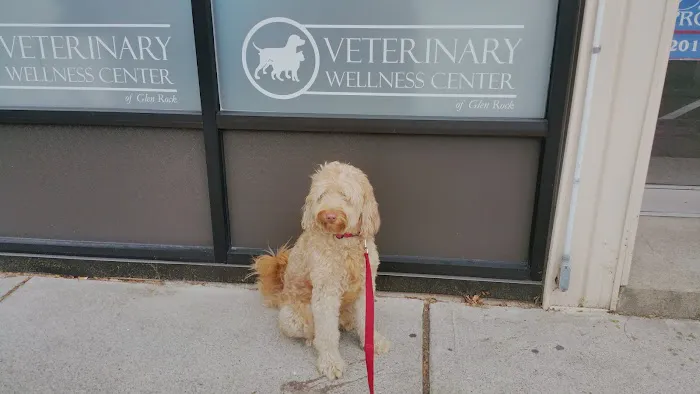 Veterinary Wellness Center of Glen Rock Picture 2