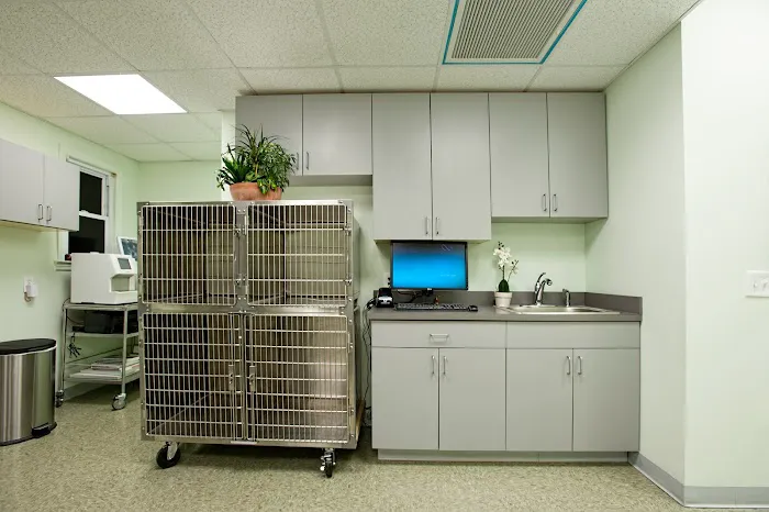 Veterinary Wellness Center of Glen Rock Picture 9