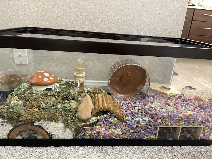 Petco Picture 6