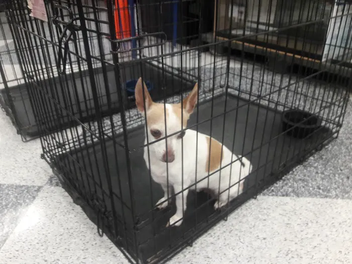 Petco Picture 3