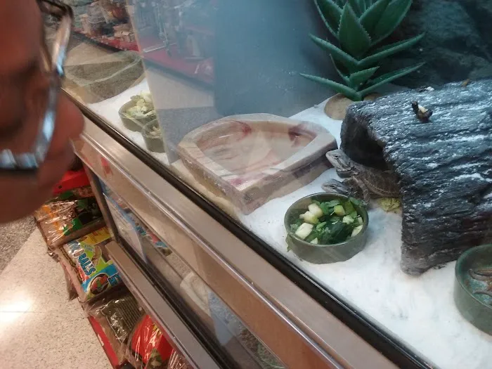 Petco Picture 9