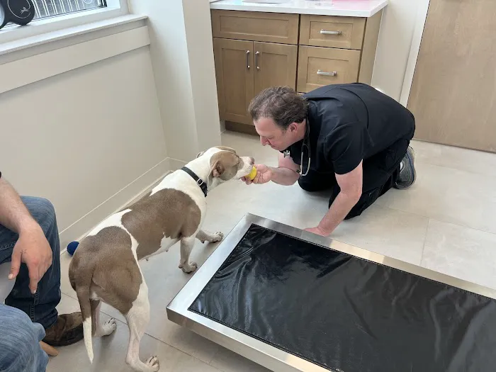 Wyckoff Veterinary Hospital Picture 7