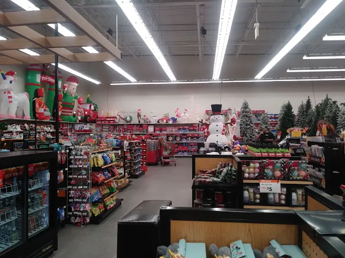 Petco Picture 7