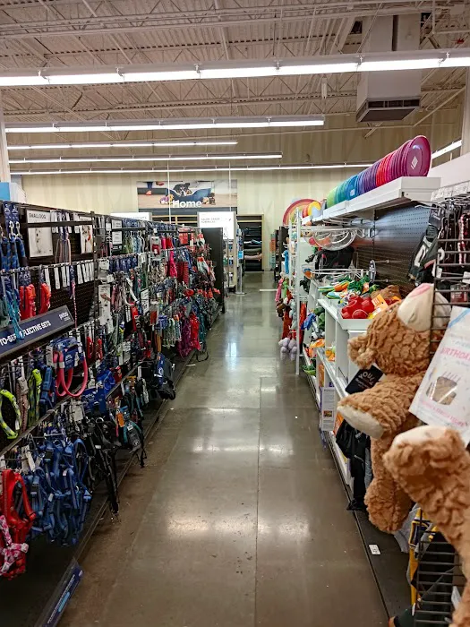 Petco Picture 4