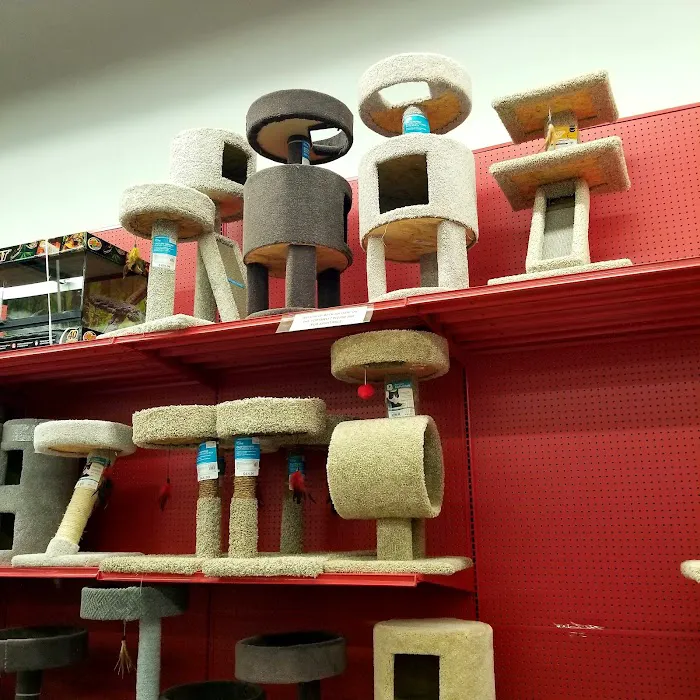 Petco Picture 6