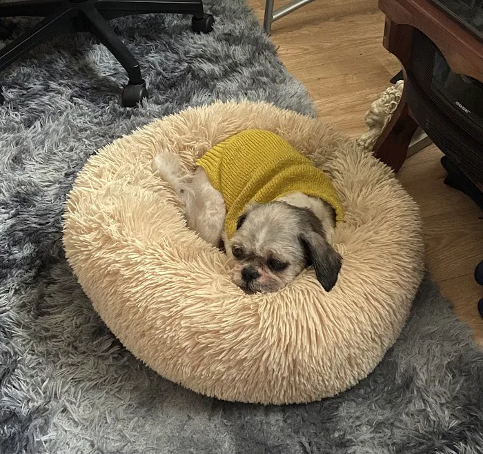 VEG ER for Pets Picture 5