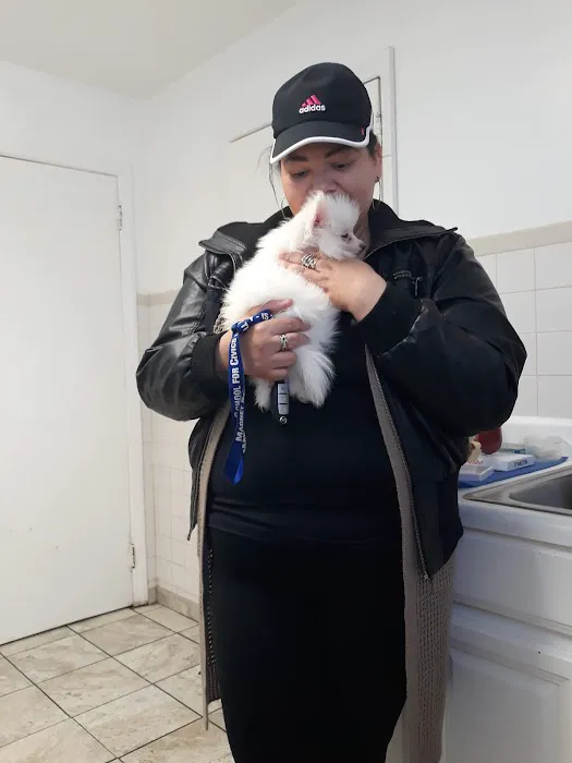 Lyndhurst Animal Hospital Inc Picture 1