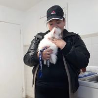 Lyndhurst Animal Hospital Inc ico