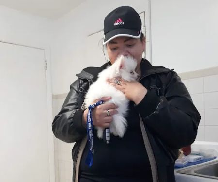 Lyndhurst Animal Hospital Inc