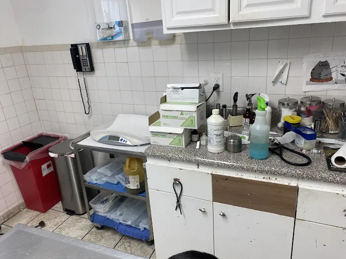 Lyndhurst Animal Hospital Inc Picture 9
