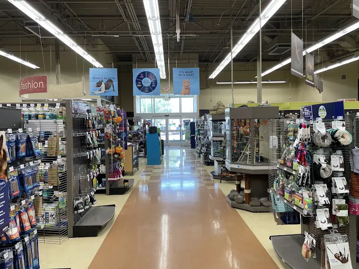 Petco Picture 2