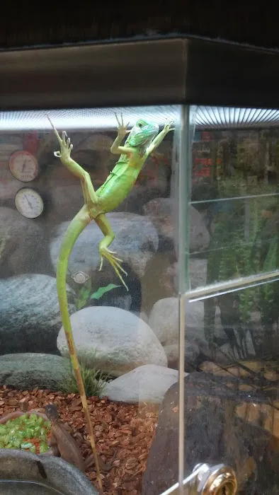 Petco Picture 4