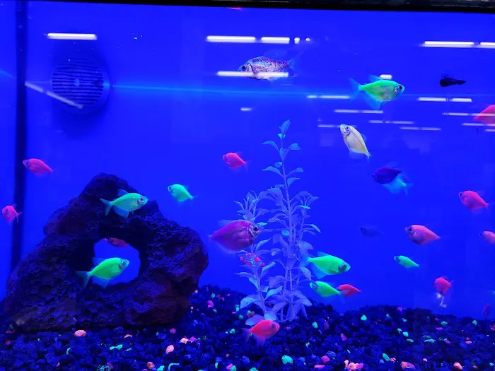 Petco Picture 6