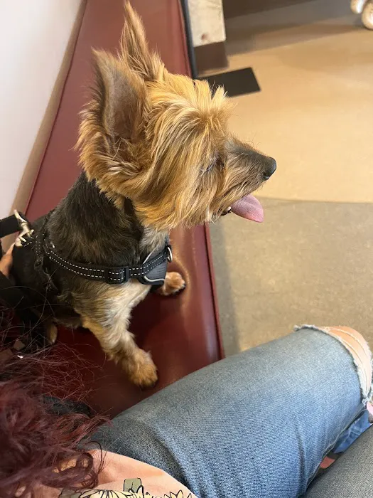 Nutley Animal Hospital Picture 4