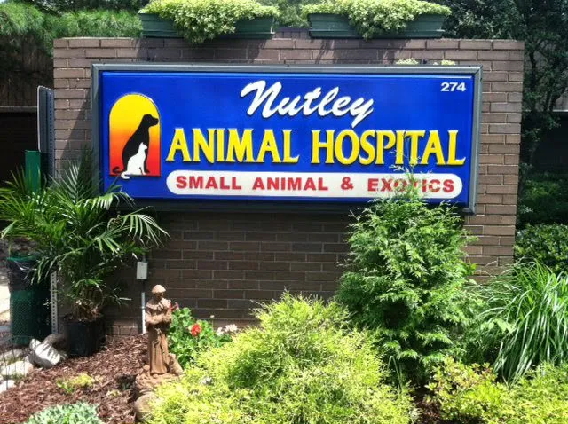 Nutley Animal Hospital Picture 10