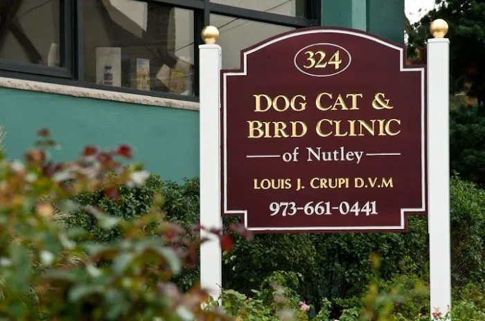 Dog Cat & Bird Clinic of Nutley Picture 4