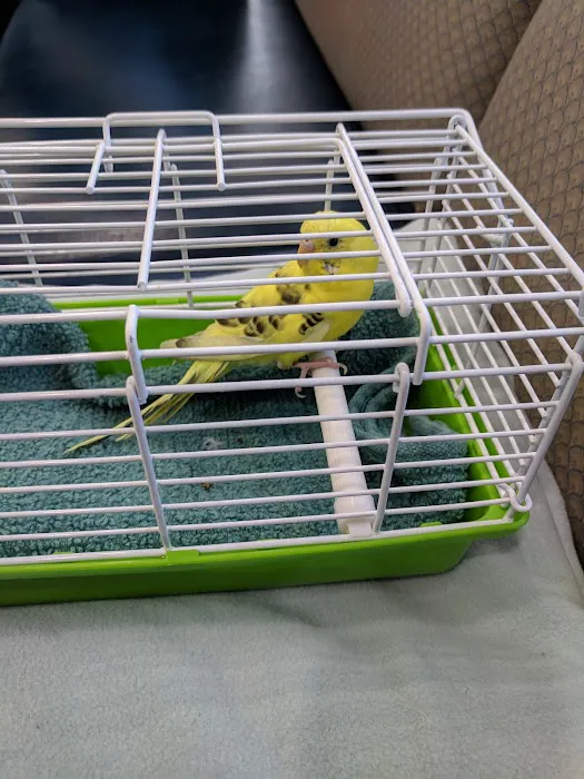 Dog Cat & Bird Clinic of Nutley Picture 3