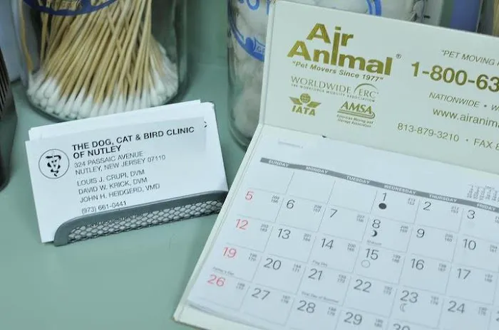 Dog Cat & Bird Clinic of Nutley Picture 6
