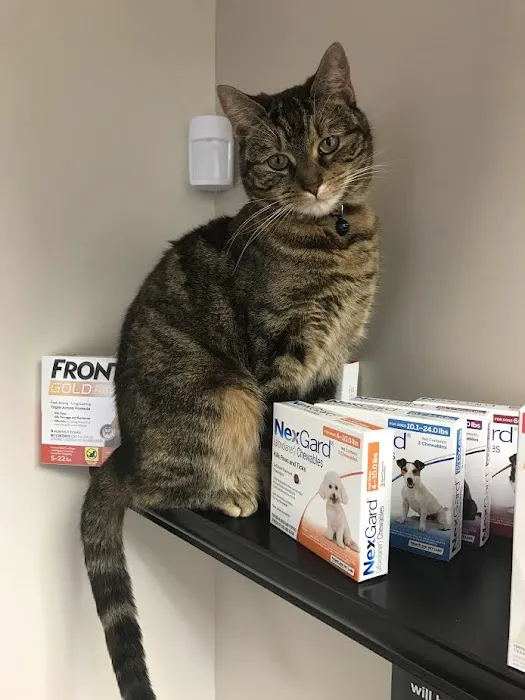 Clifton Ave Animal Hospital Picture 2