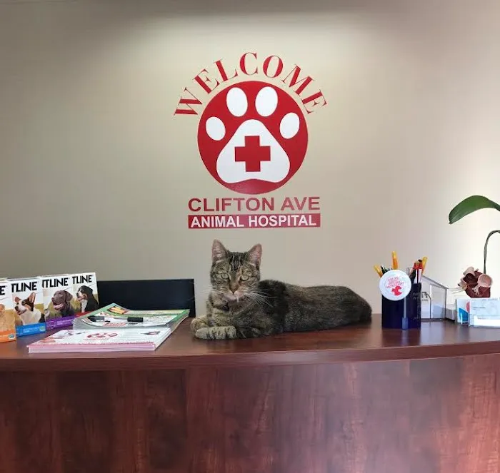 Clifton Ave Animal Hospital Picture 8