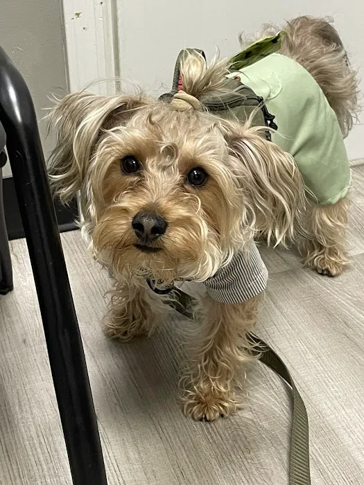 Clifton Ave Animal Hospital Picture 1