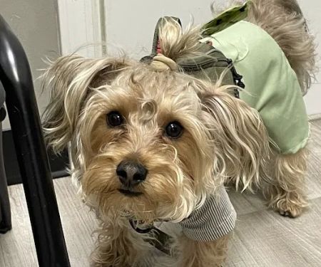 Clifton Ave Animal Hospital