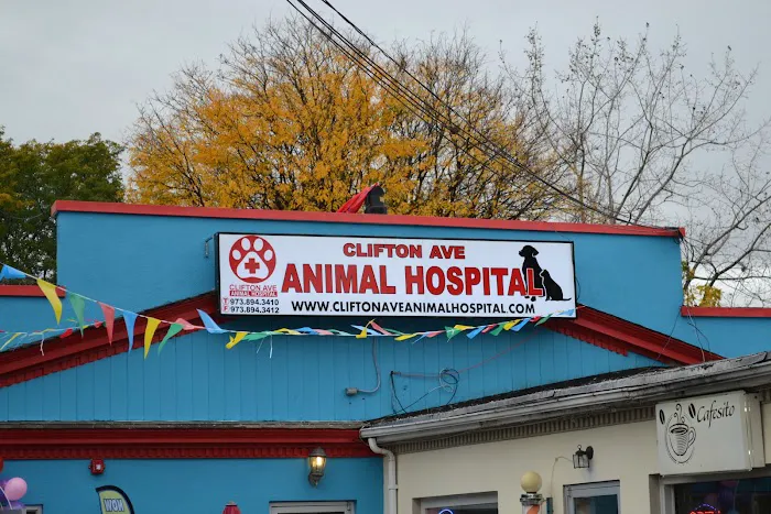 Clifton Ave Animal Hospital Picture 9