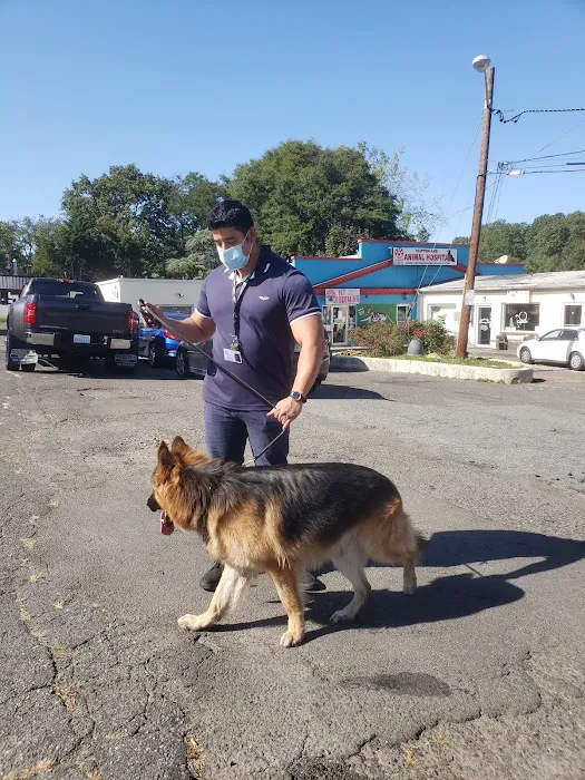 Clifton Ave Animal Hospital Picture 10