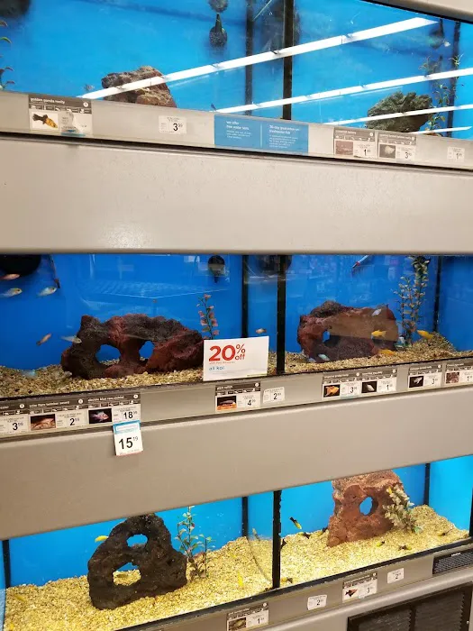 Petco Picture 4