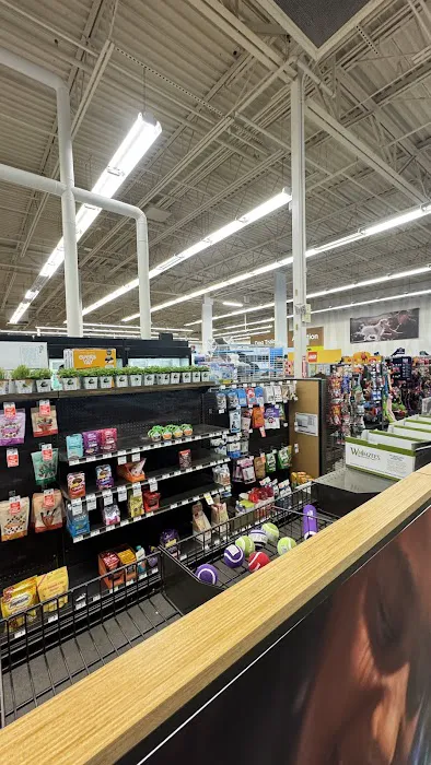 Petco Picture 5