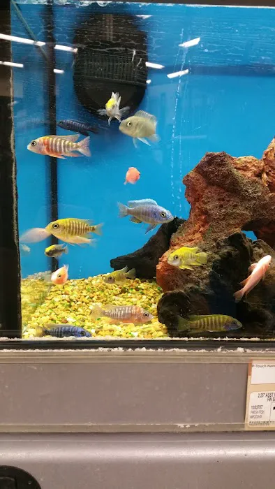 Petco Picture 9