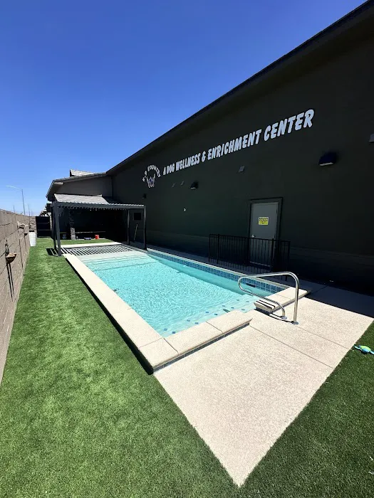 K-9 Kountry A Dog Wellness & Enrichment Center Picture 2