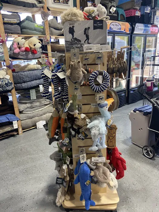 Jones Pet Outlet Picture 3