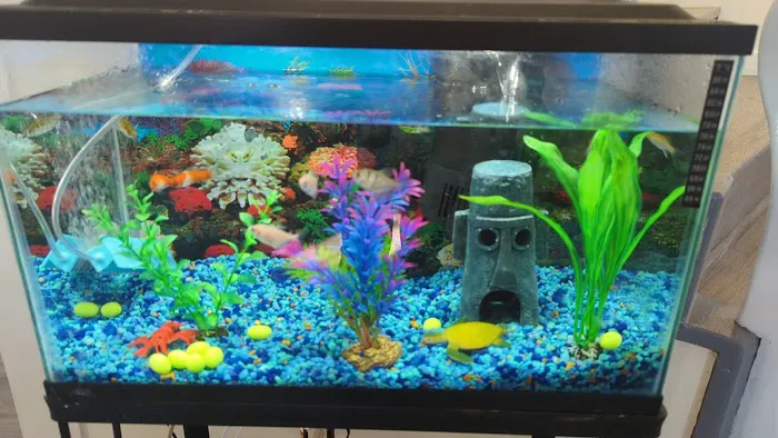 Petco Picture 6